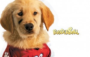 Budderball